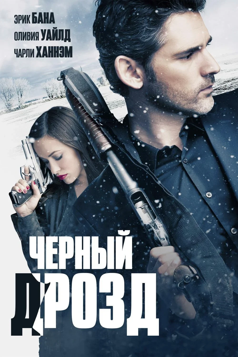 Постер фильма Чёрный дрозд