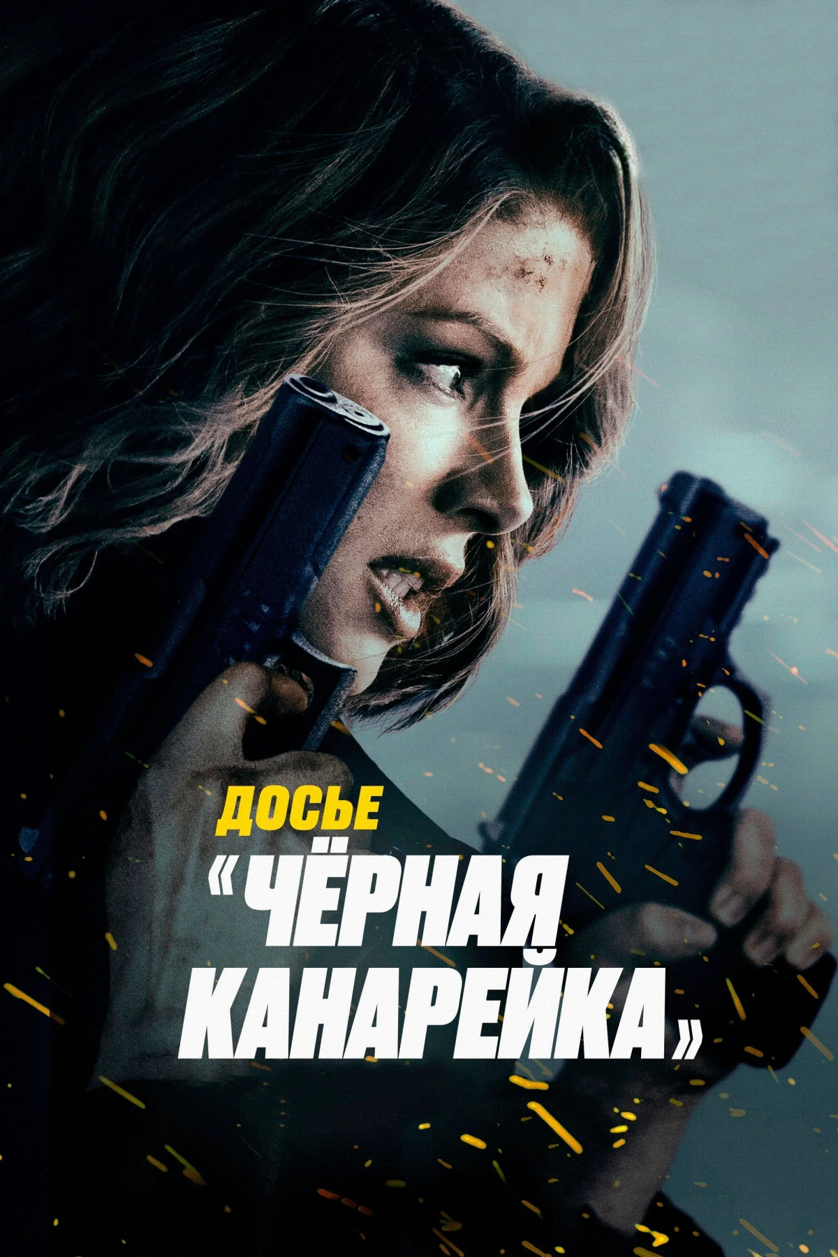 Постер фильма Досье «Чёрная канарейка»