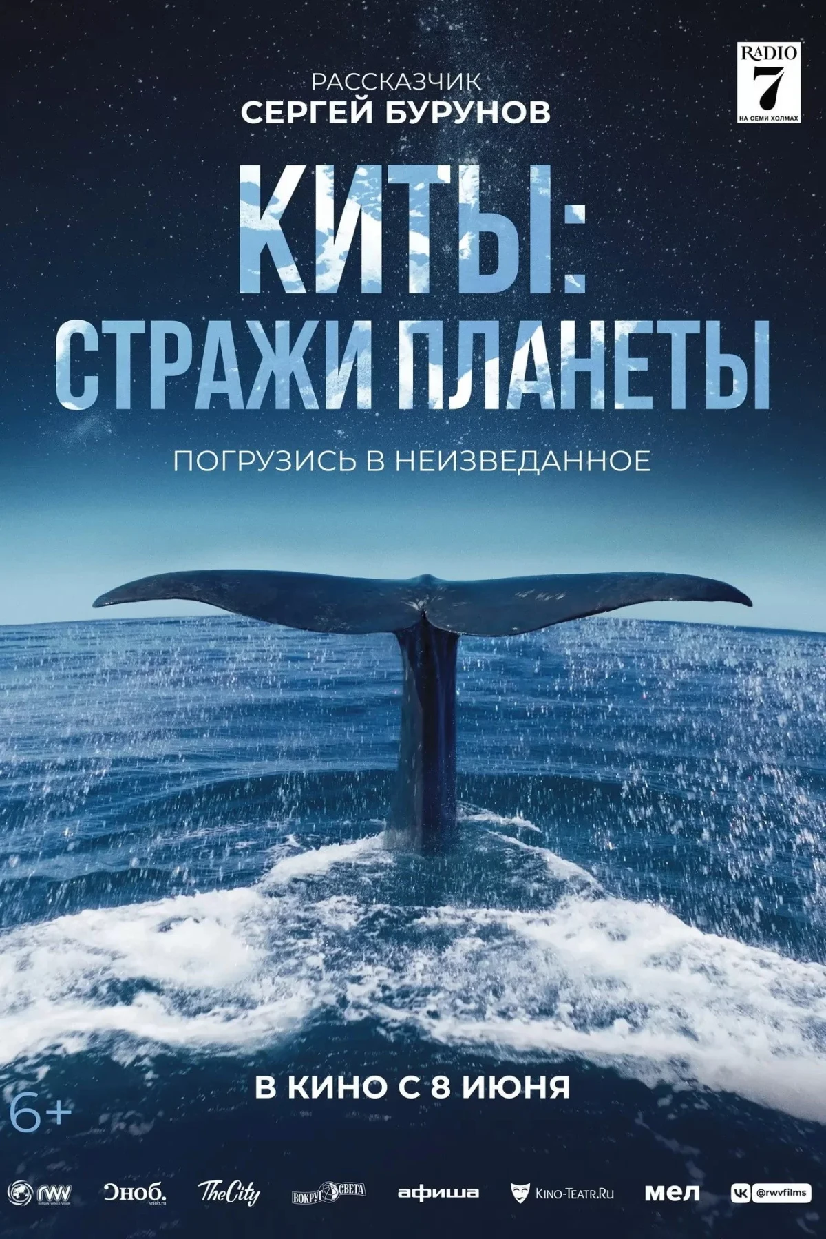 Постер фильма Киты: Стражи планеты