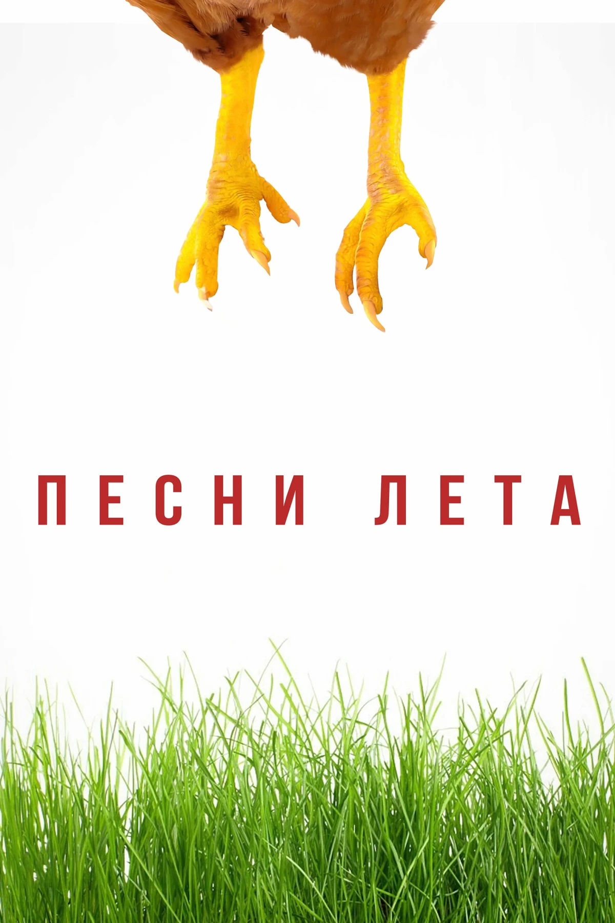 Постер фильма Песни лета