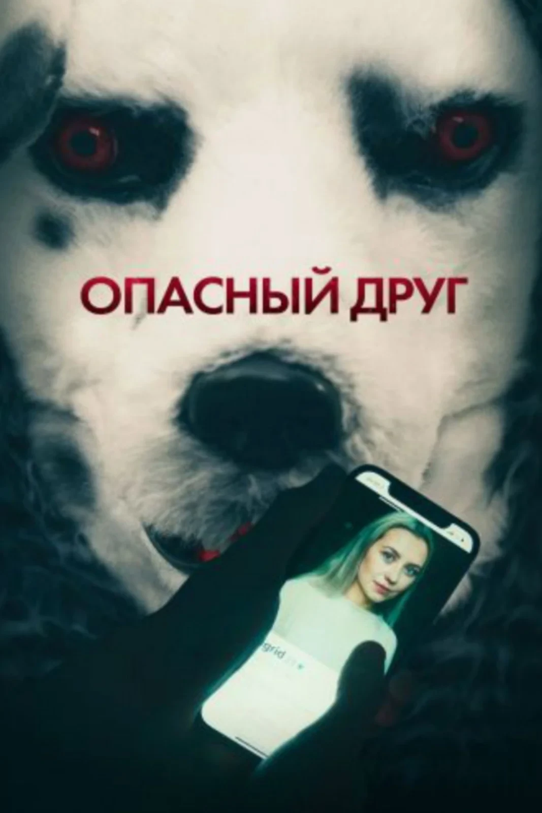 Постер фильма Опасный друг