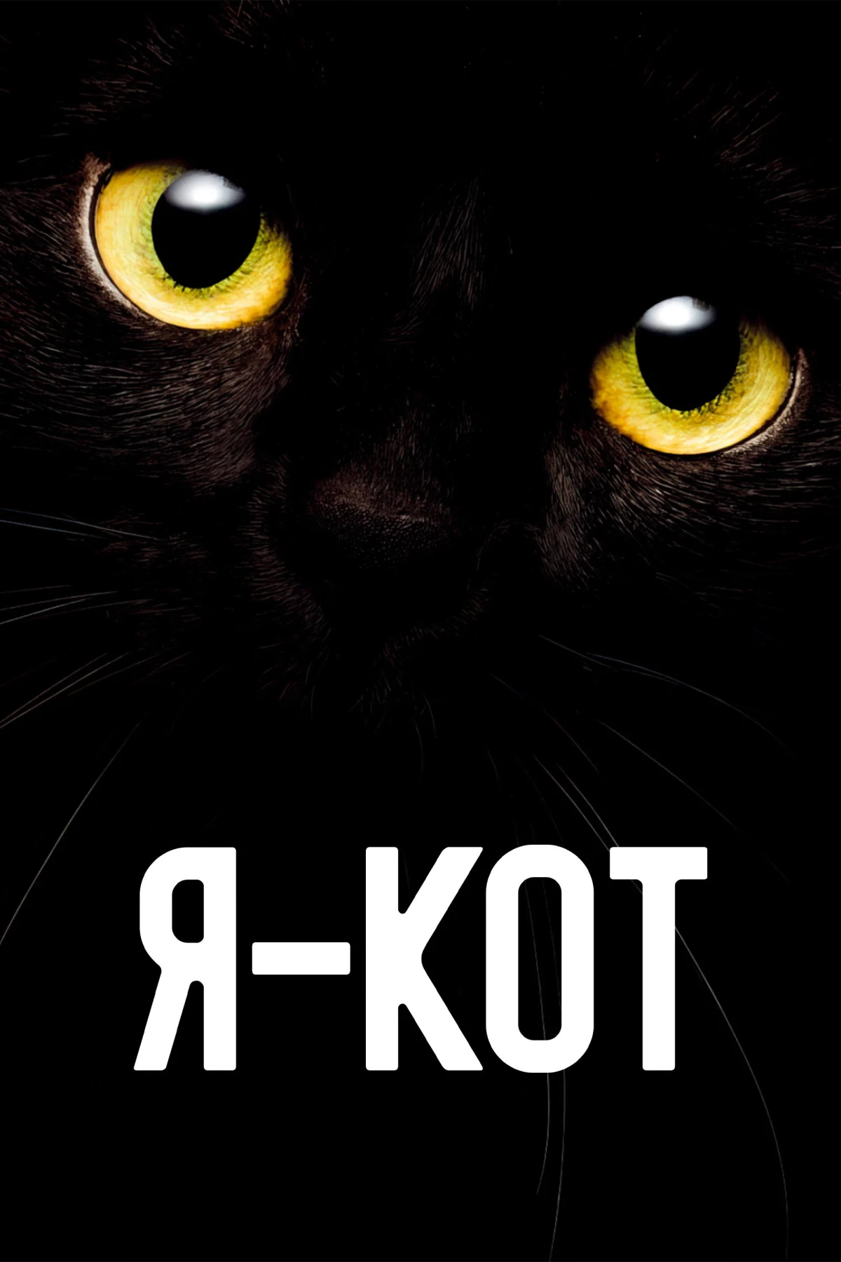 Постер фильма Я — кот
