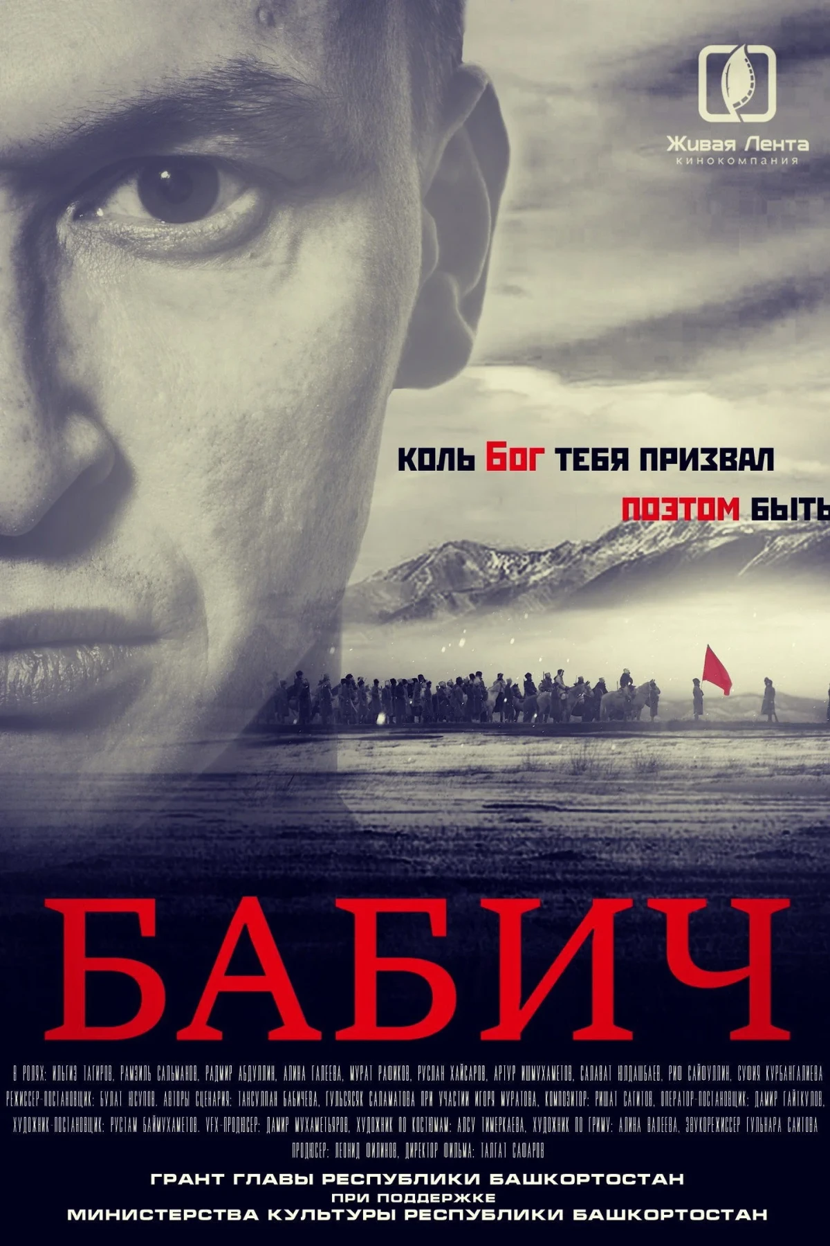 Постер фильма Бабич