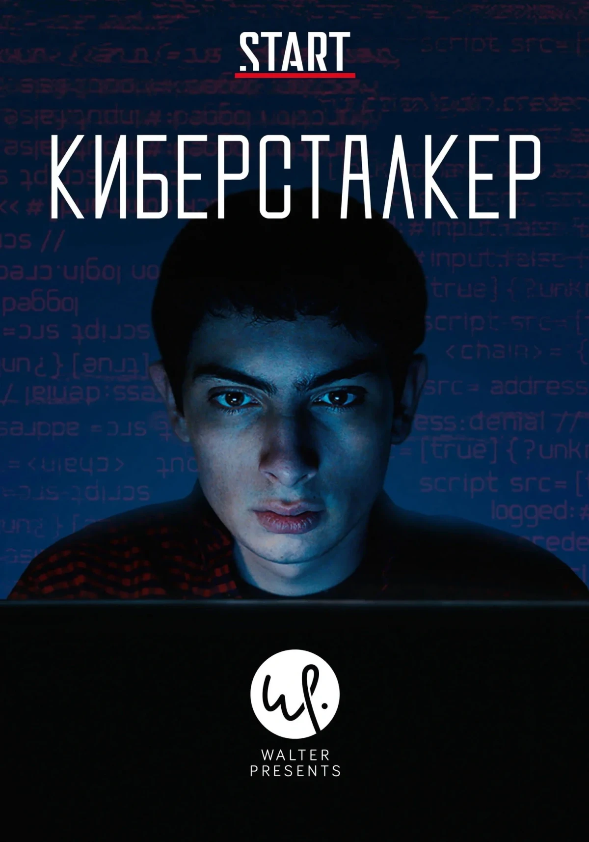 Постер сериалаКиберсталкер