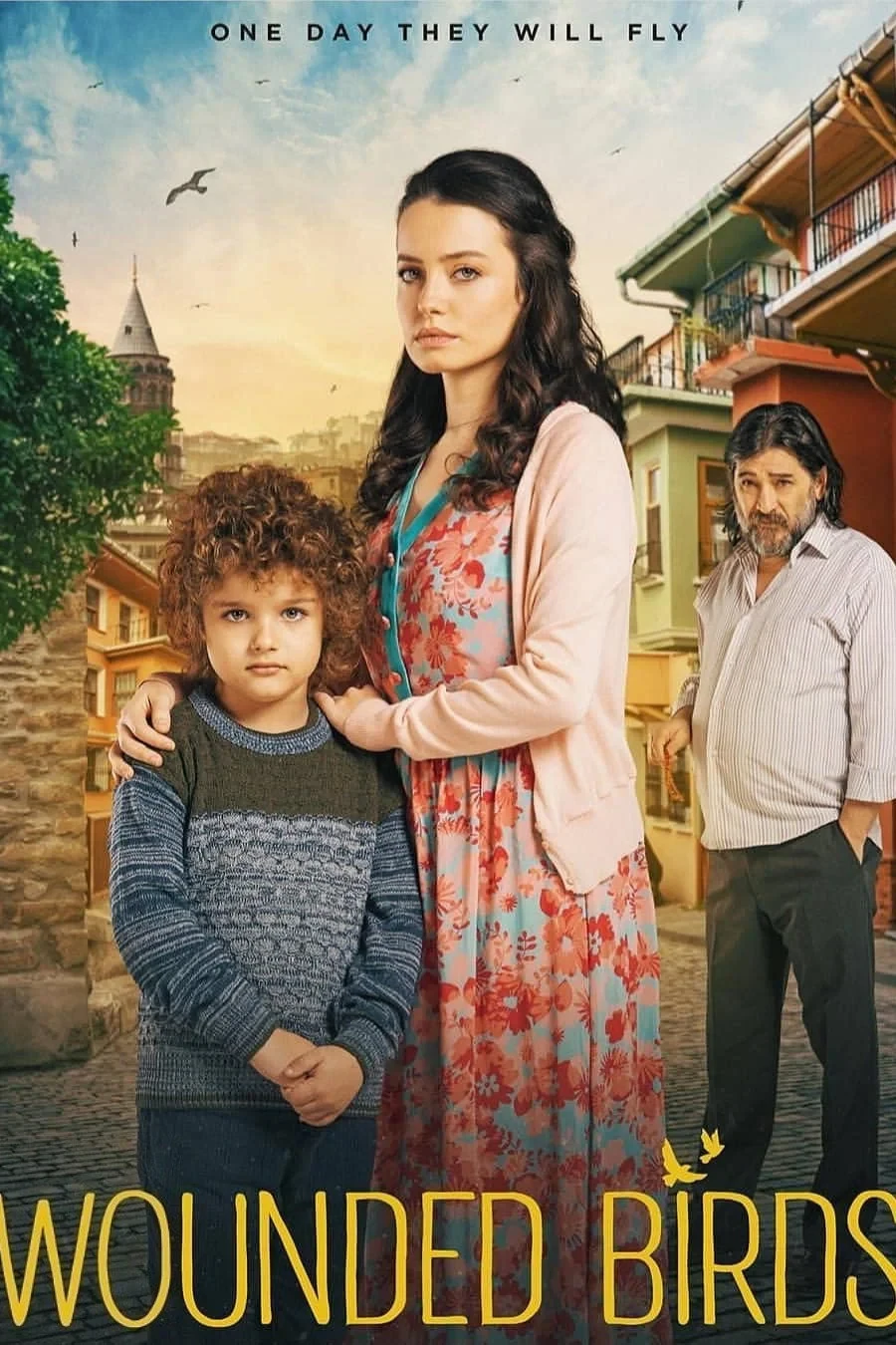Постер сериалаРаненые птицы