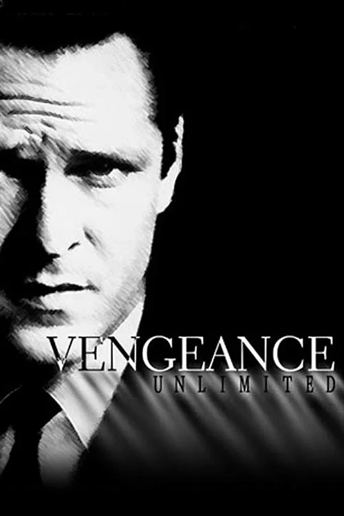 Постер сериалаМесть без предела