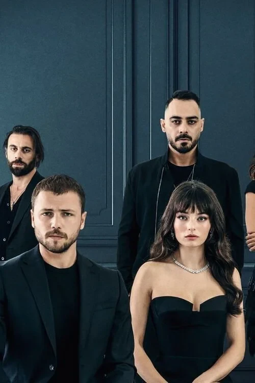 Постер сериалаЗадира
