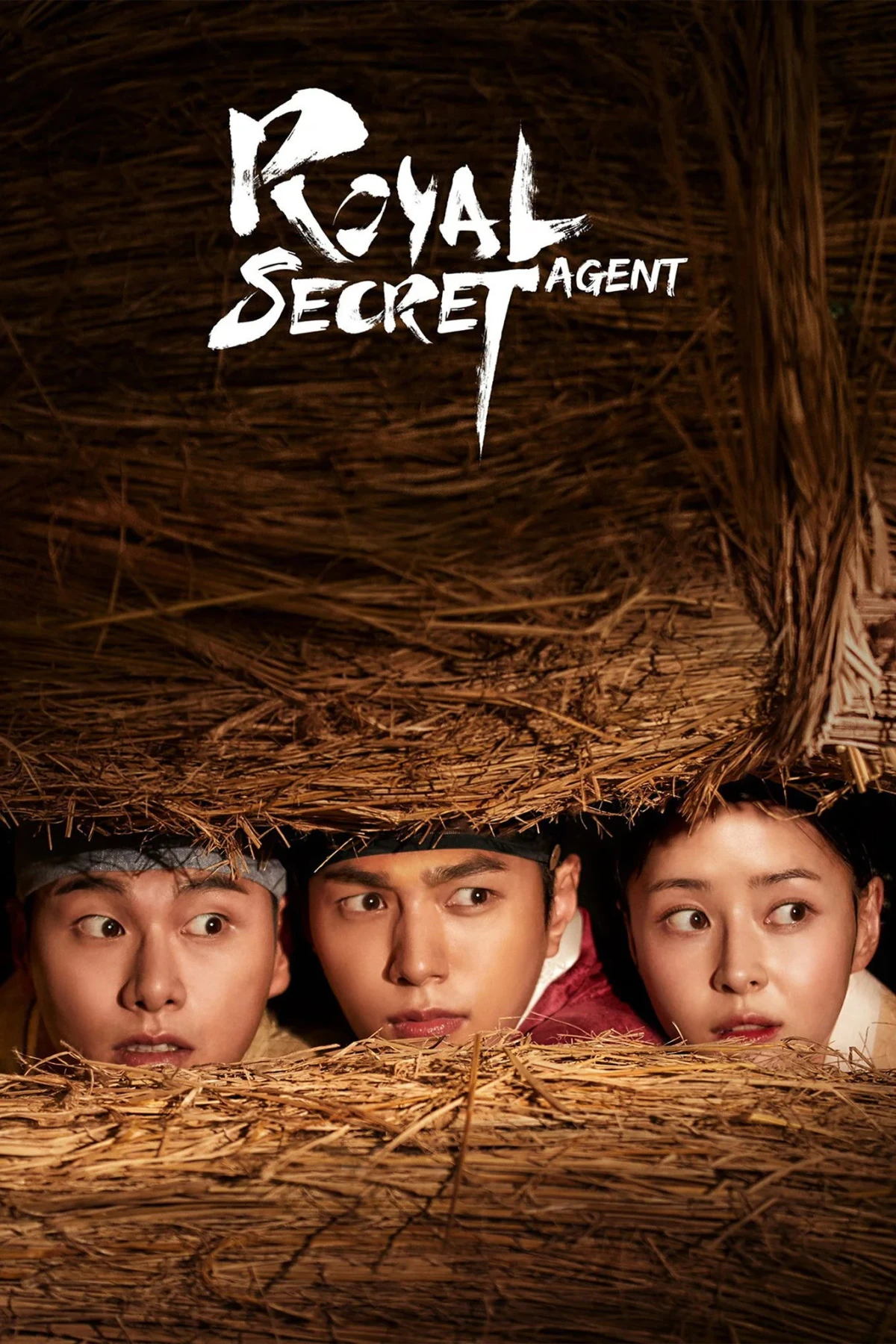 Постер сериалаТайный королевский инспектор