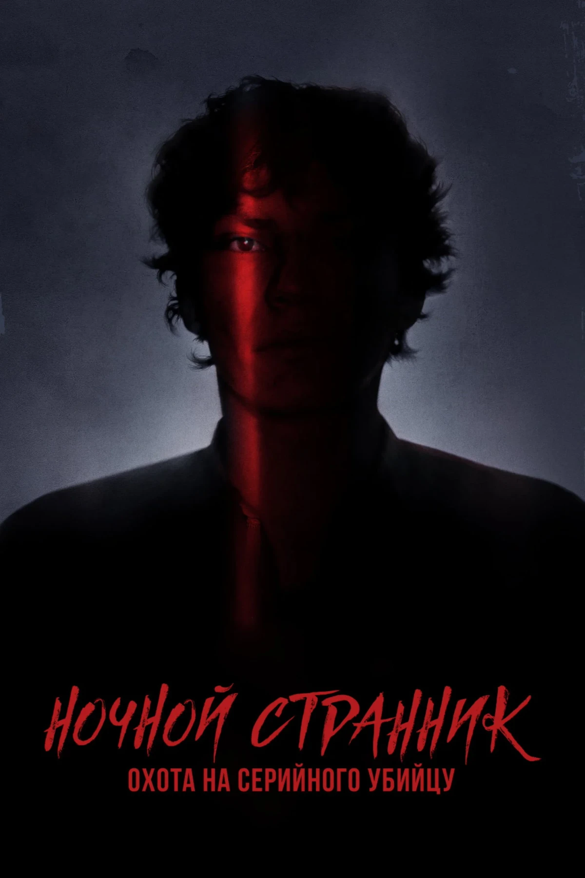 Постер сериалаНочной Странник. Охота на серийного убийцу