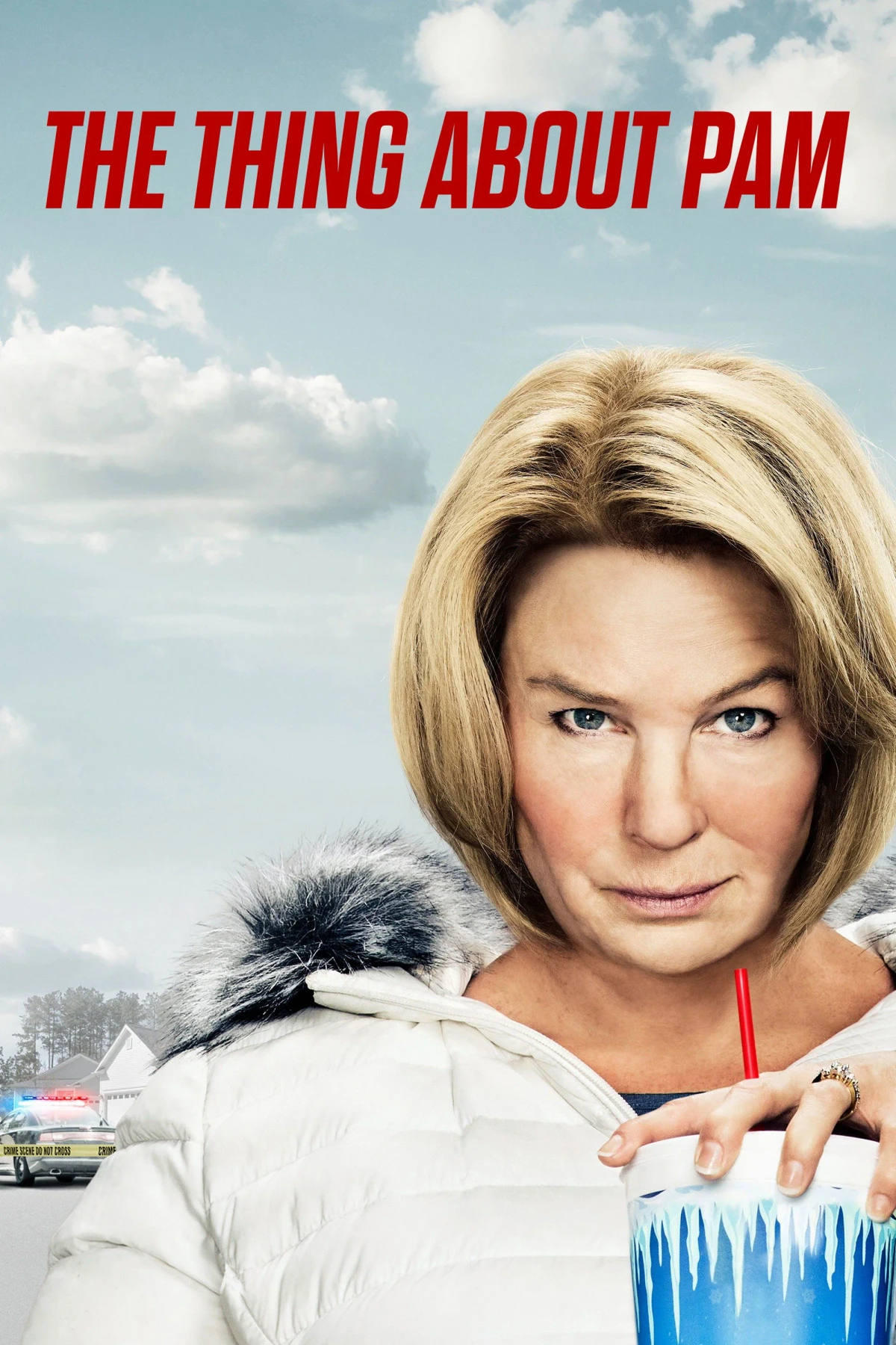 Постер сериалаКое-что о Пэм