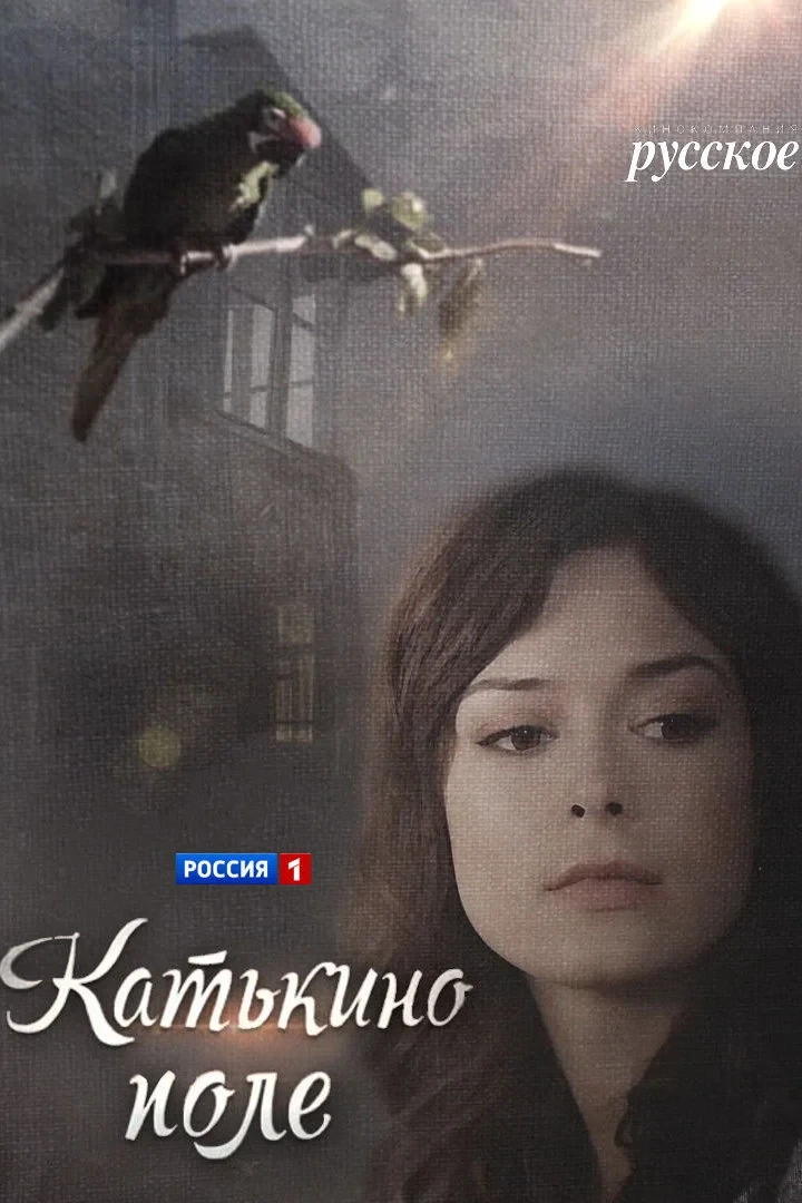Постер сериалаКатькино поле