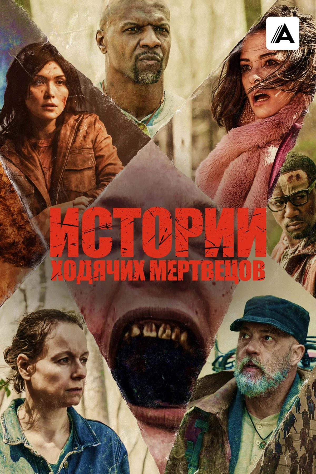 Постер сериалаИстории ходячих мертвецов