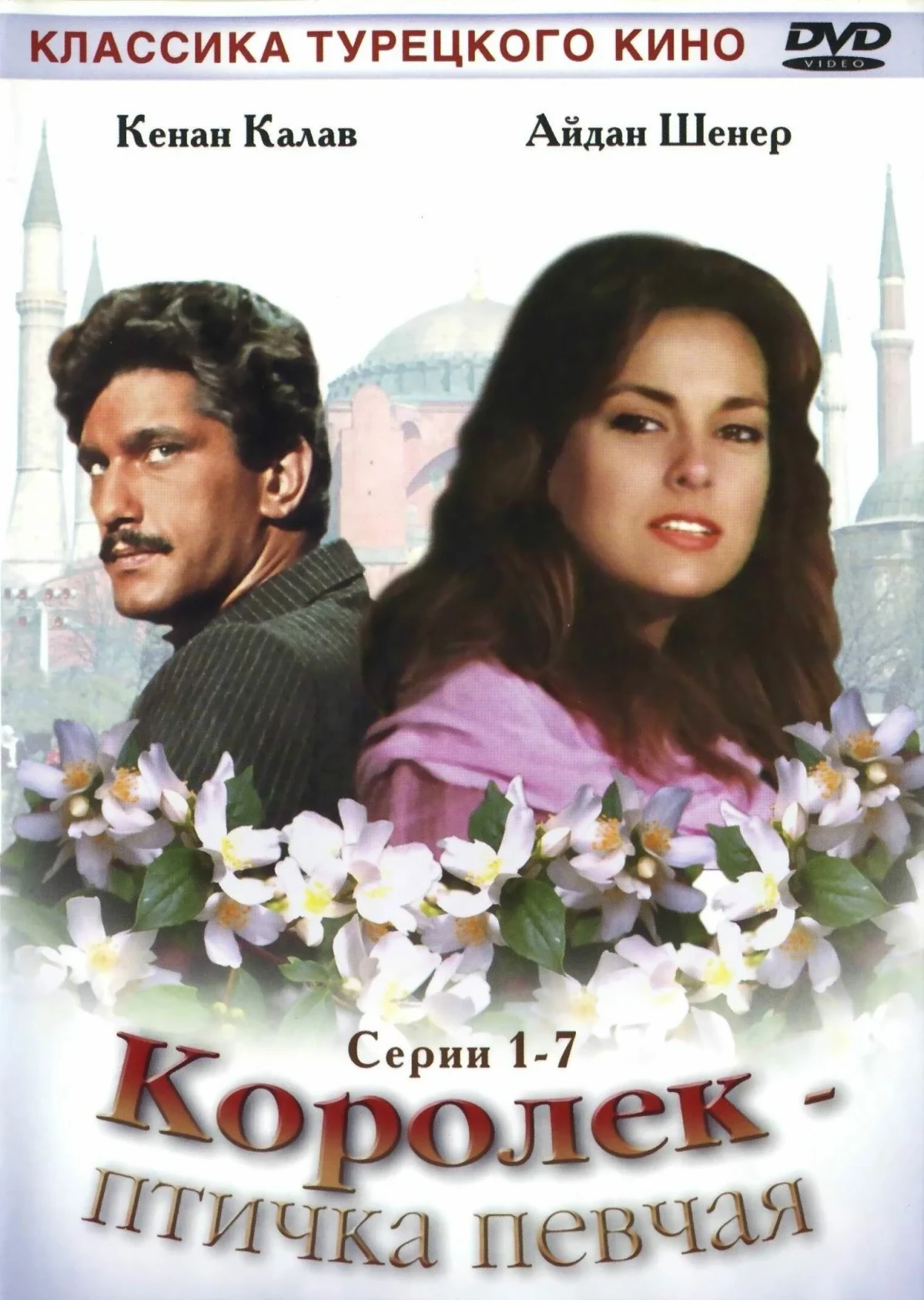 Постер сериалаКоролек - птичка певчая