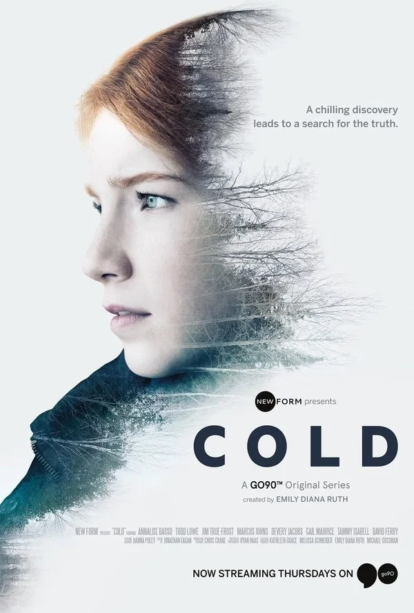 Постер сериалаХолод