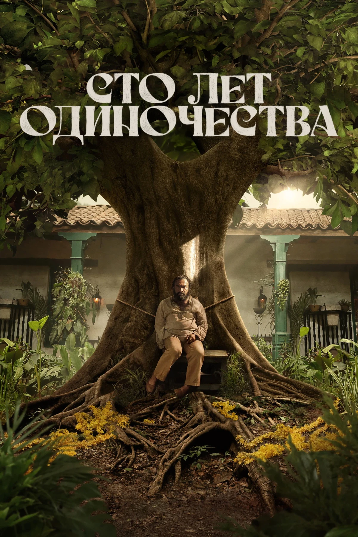 Постер сериалаСто лет одиночества