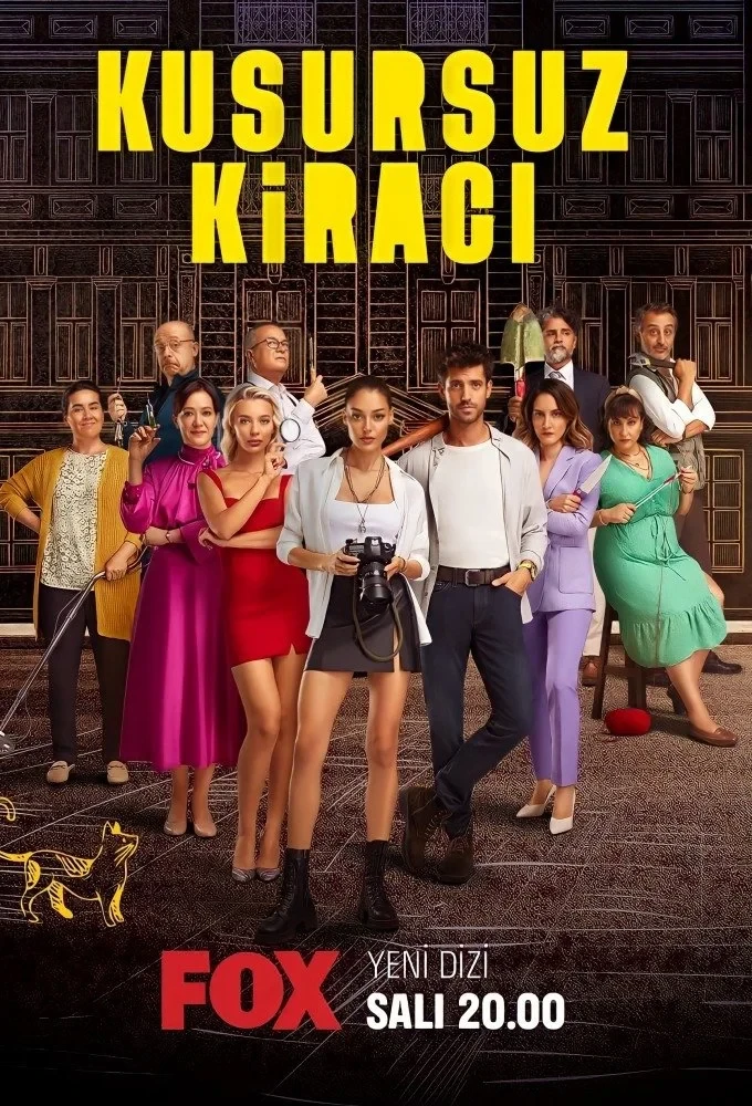 Постер сериалаИдеальный арендатор