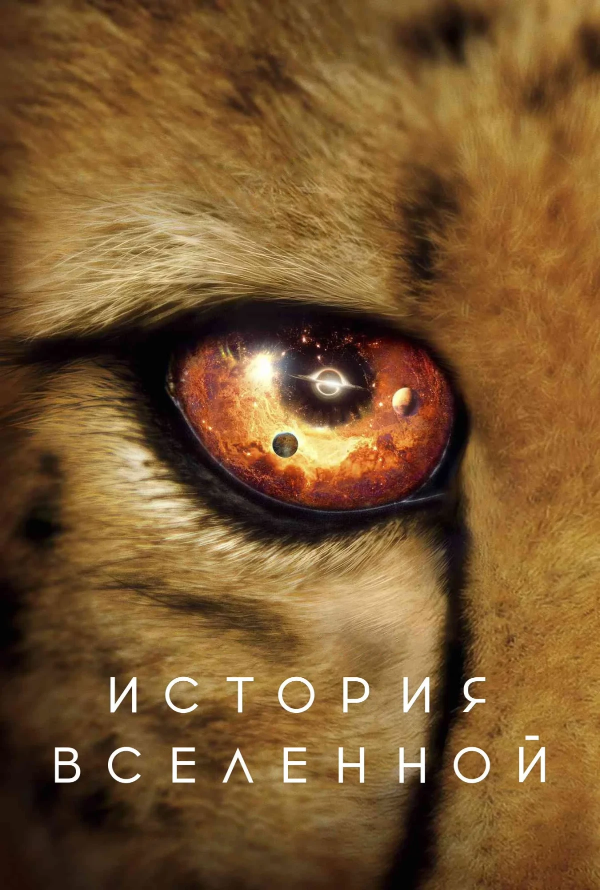 Постер сериалаИстория Вселенной