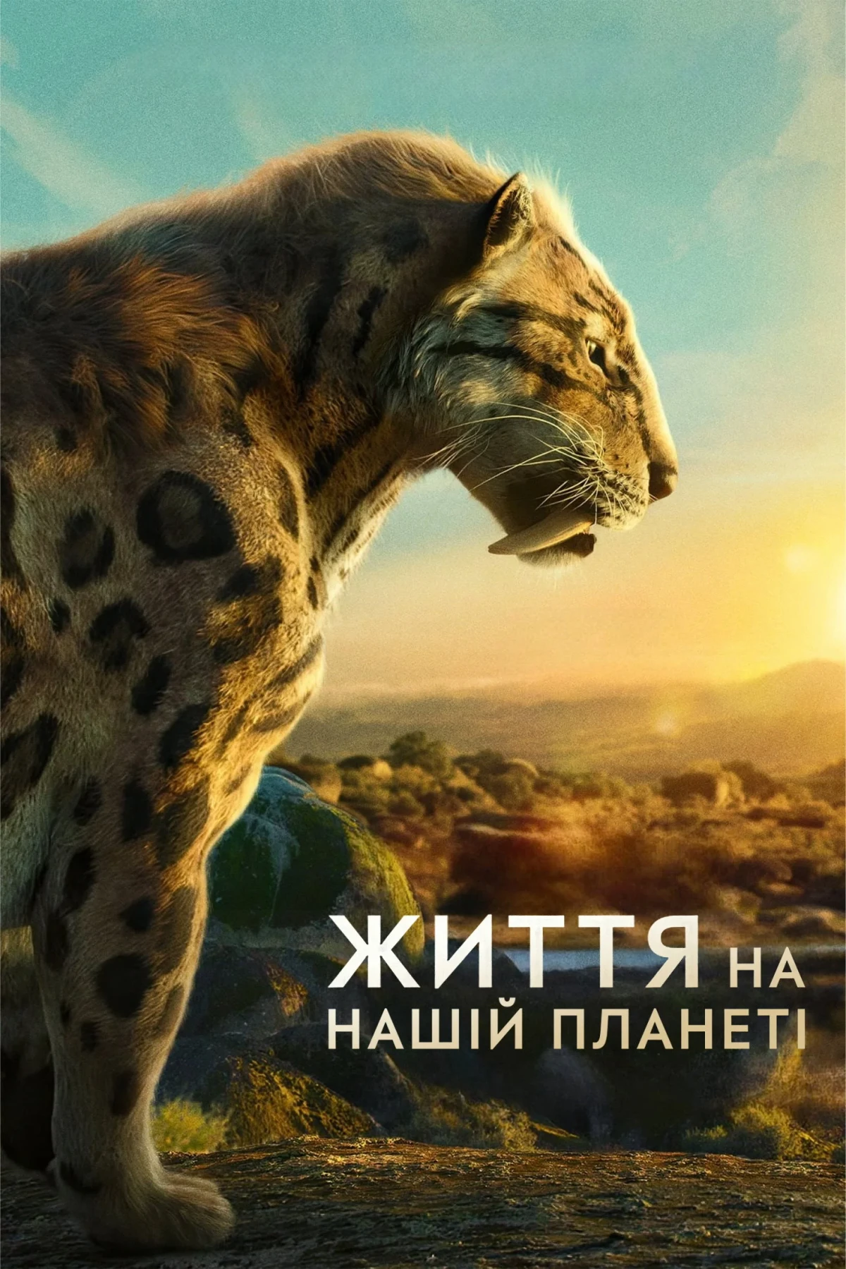 Постер сериалаЖизнь на нашей планете