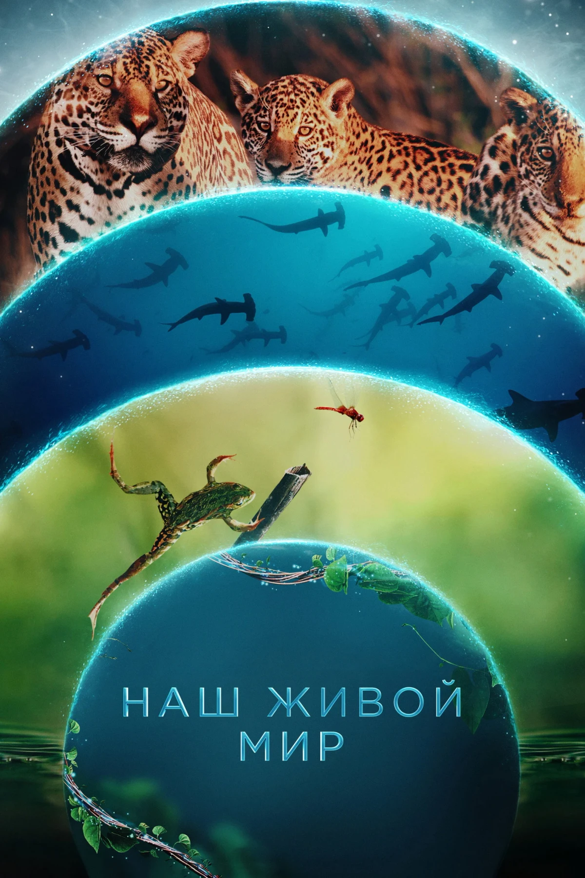 Постер сериалаНаш живой мир