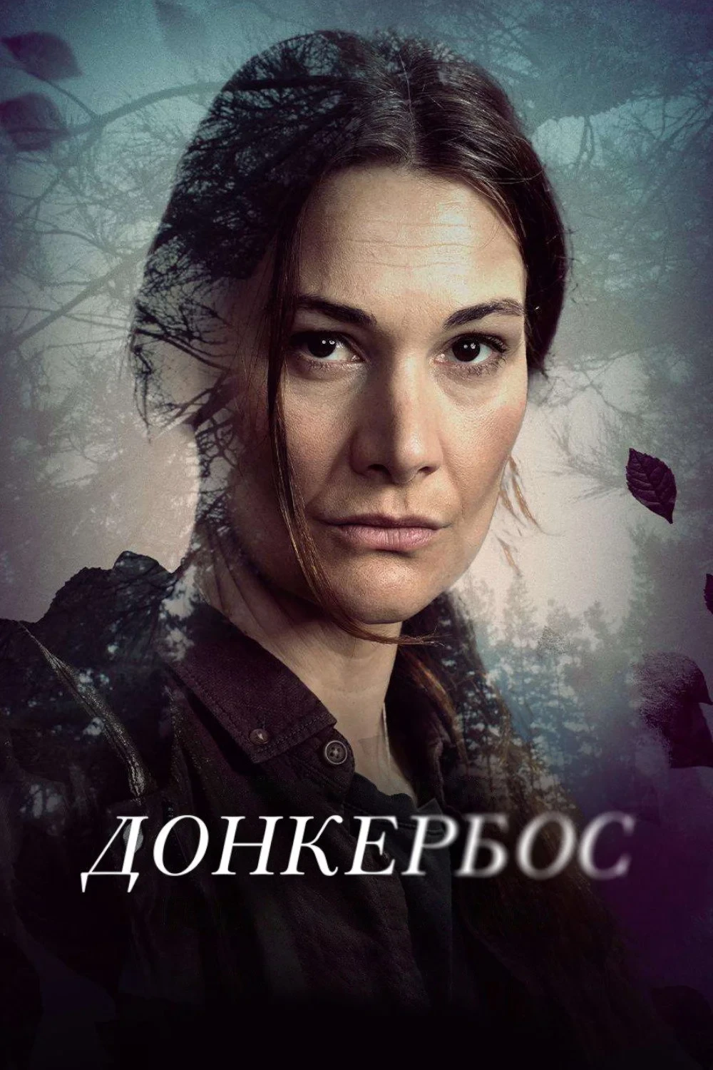 Постер сериалаДонкербос