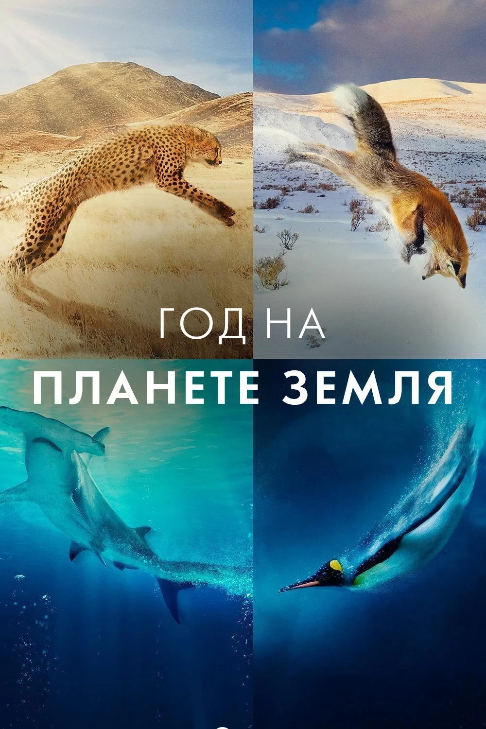 Постер сериалаГод на планете Земля