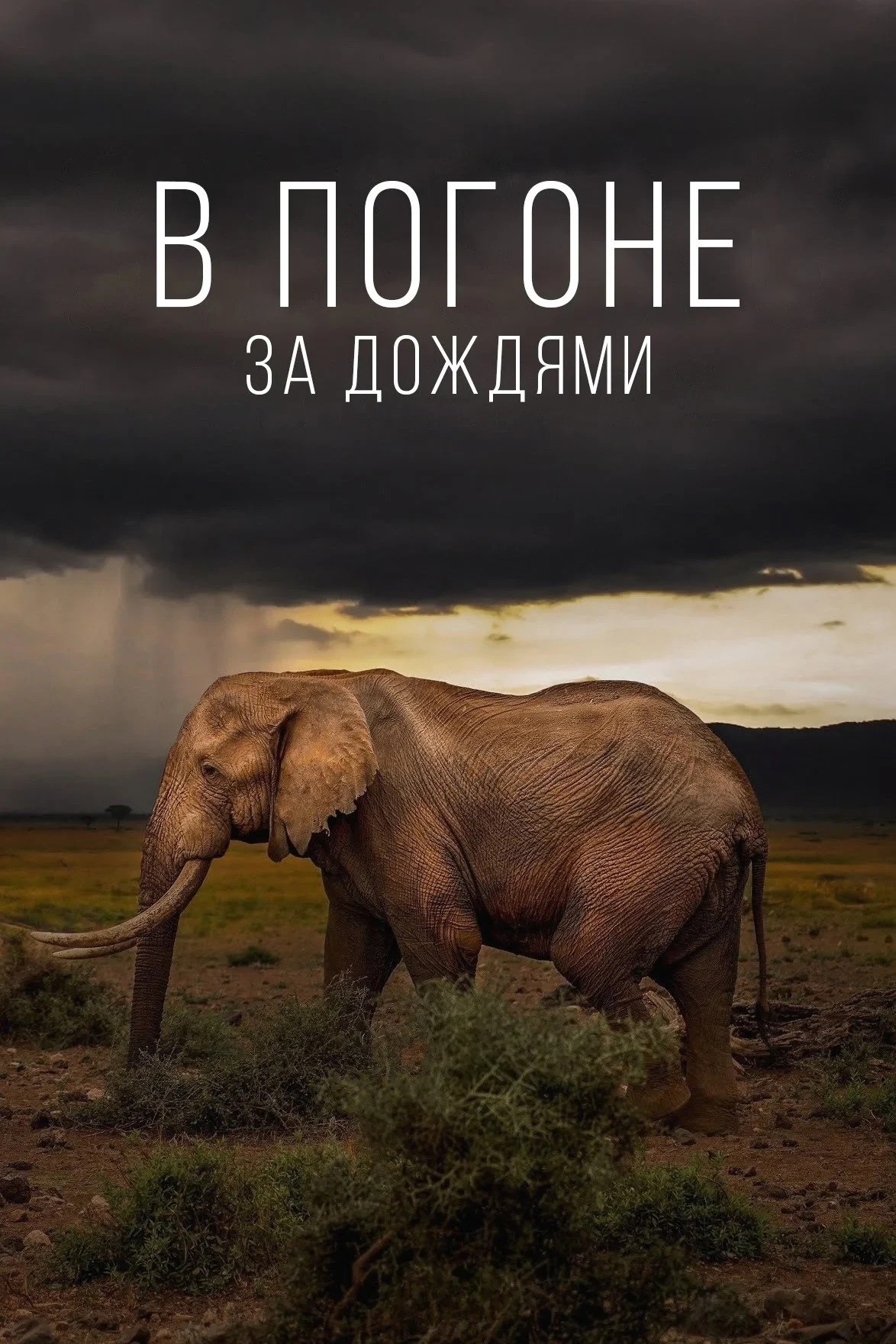 Постер сериалаВ погоне за дождями