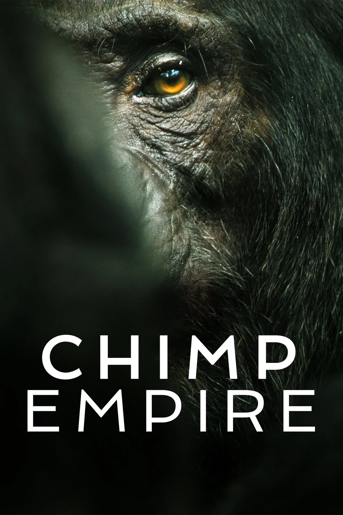 Постер сериалаИмперия шимпанзе