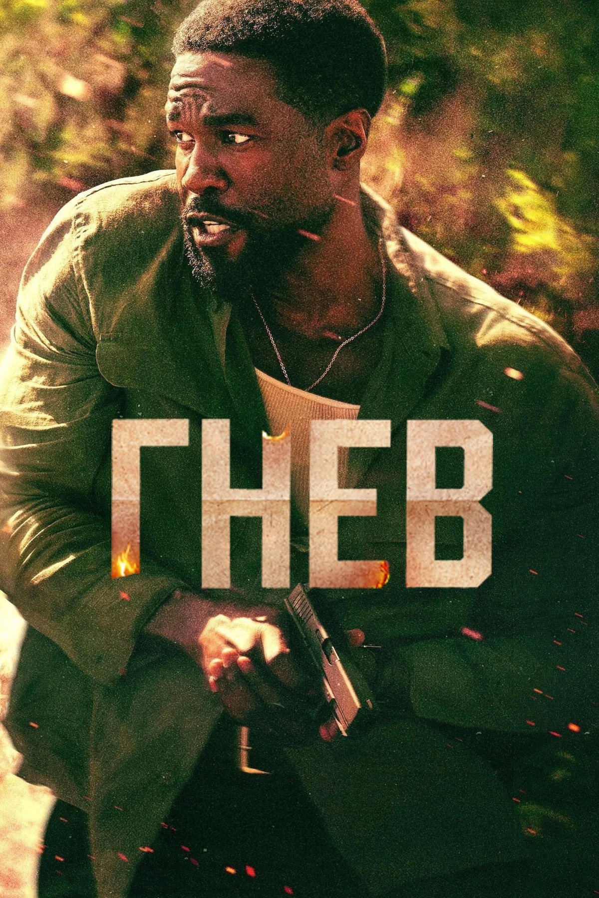 Постер сериалаГнев