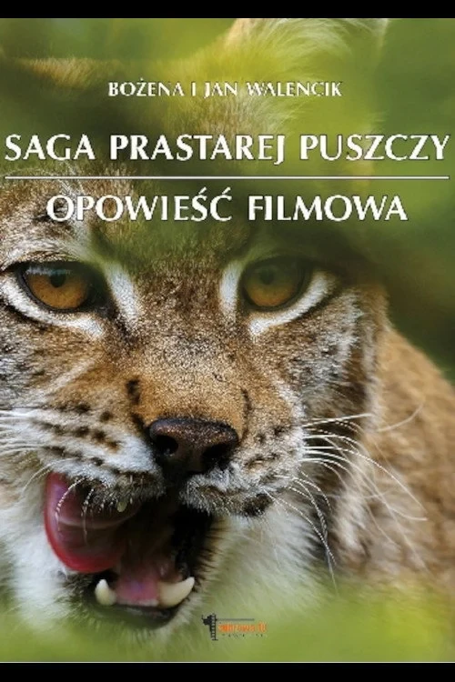 Постер сериалаСага о древнем лесе