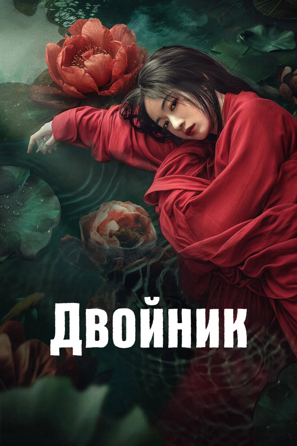 Постер сериалаДвойник