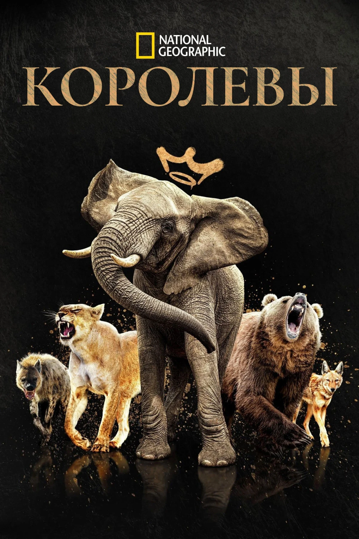 Постер сериалаКоролевы