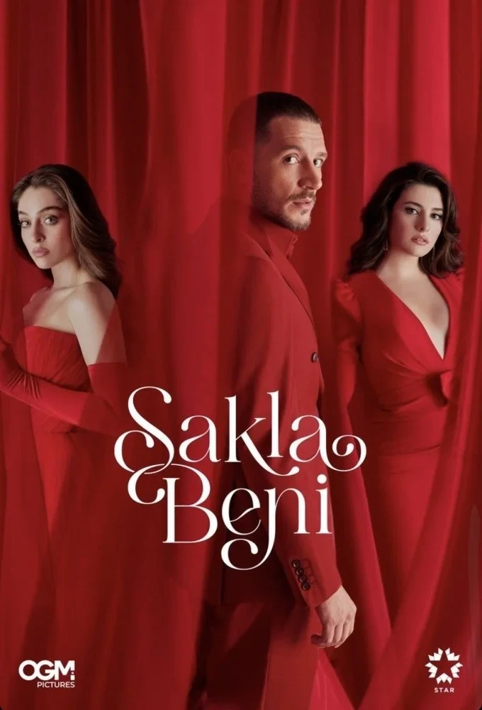 Постер сериалаСпрячь меня