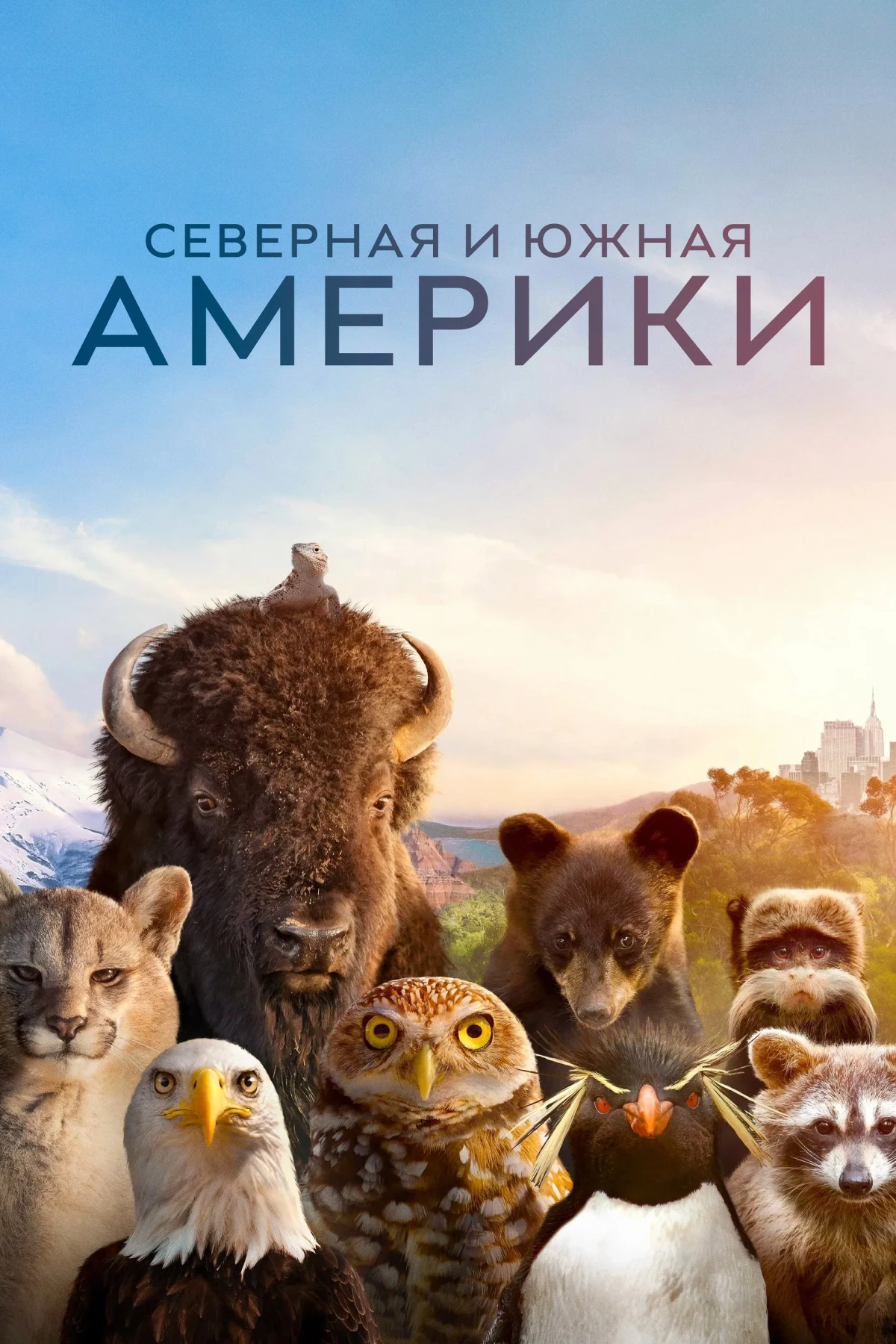Постер сериалаАмерика