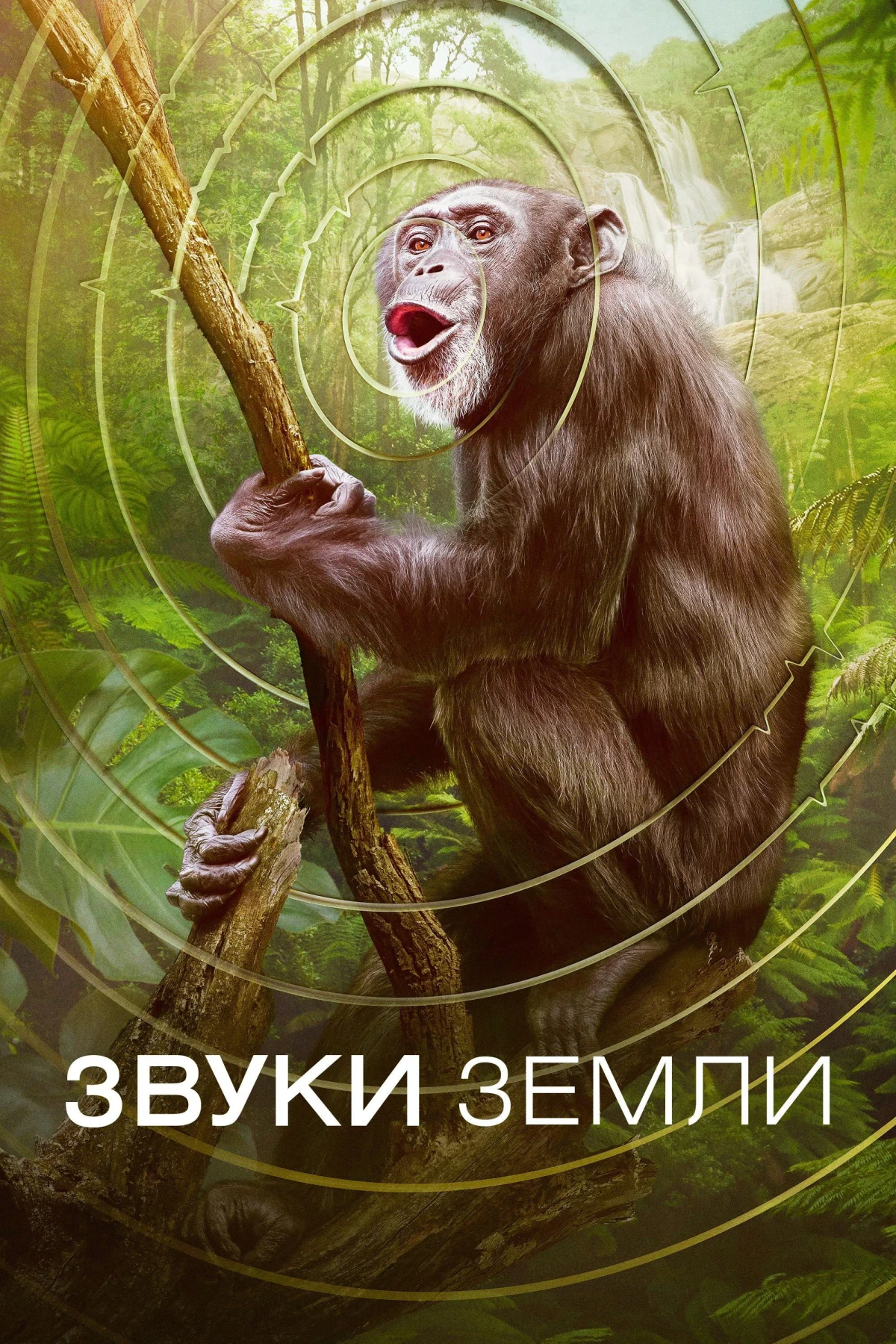 Постер сериалаЗвуки Земли