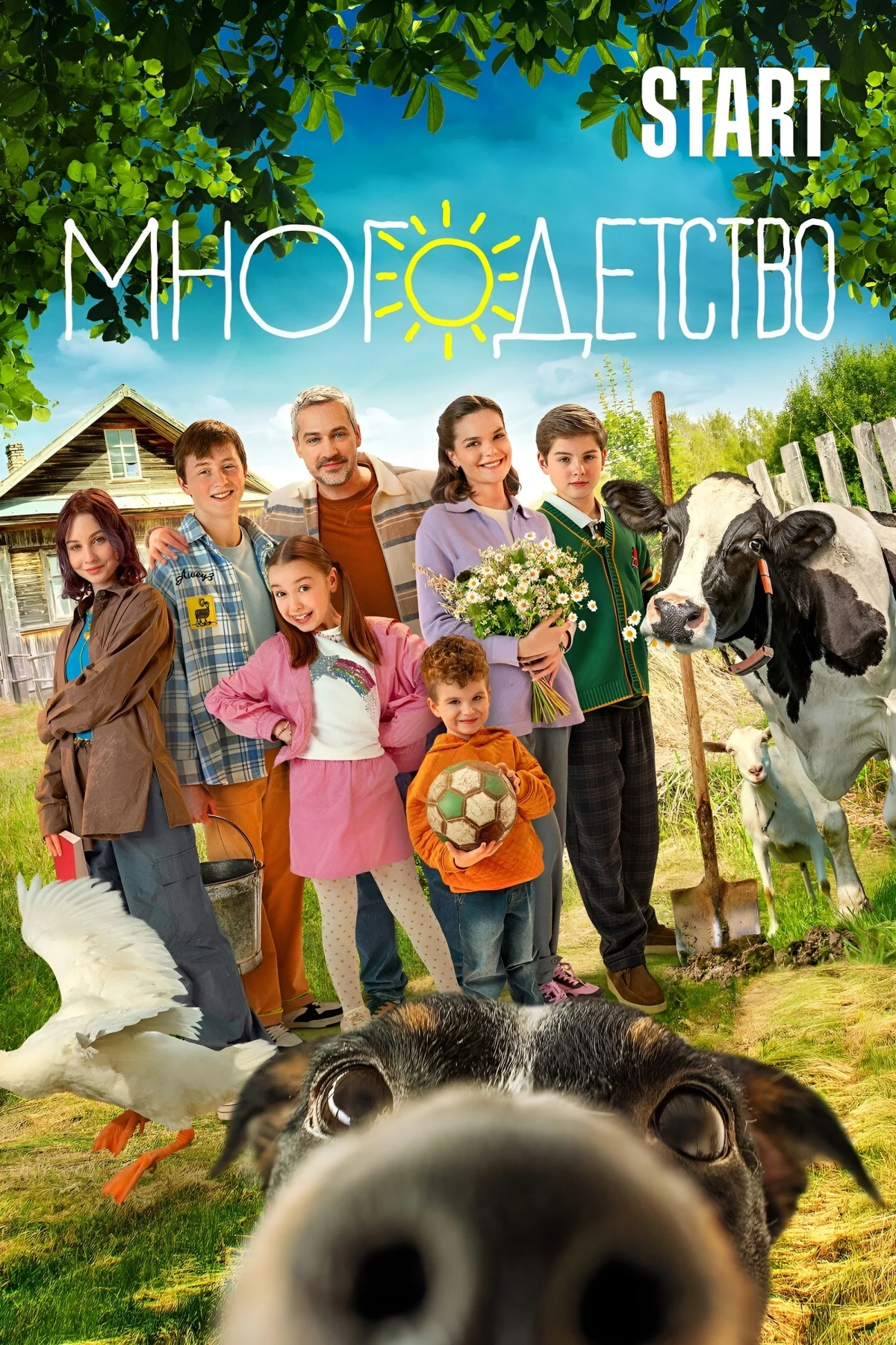 Постер сериалаМногодетство