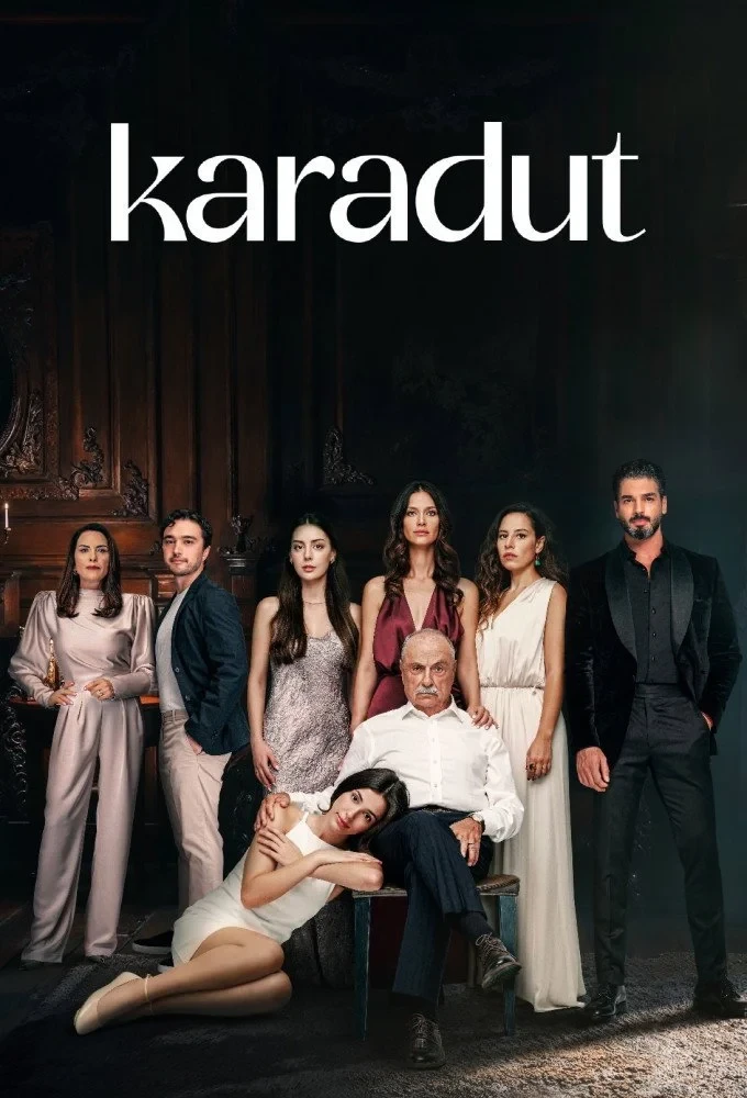 Постер сериалаЧерная шелковица