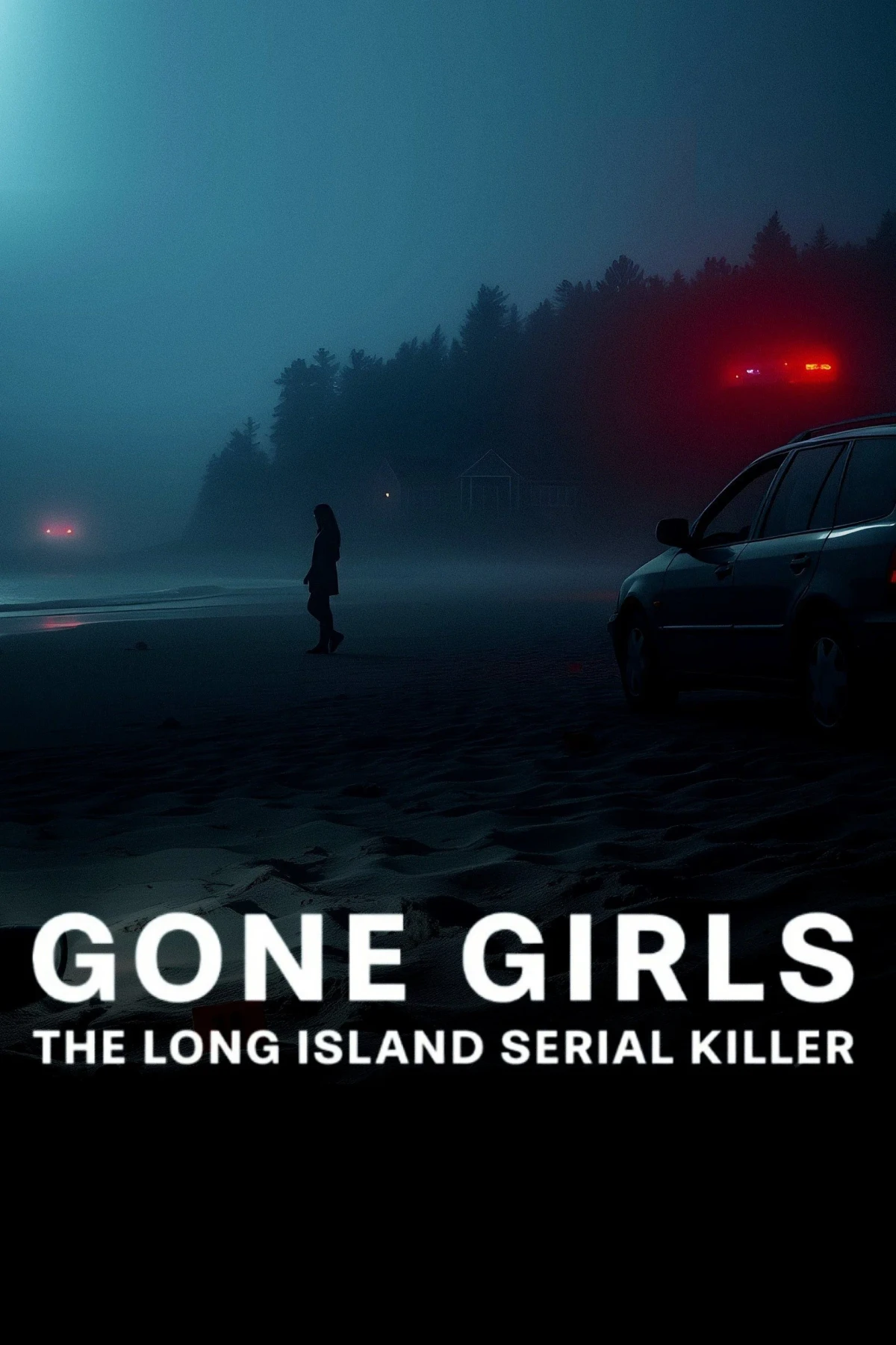 Постер сериалаПропавшие девушки: Лонг-айлендский убийца