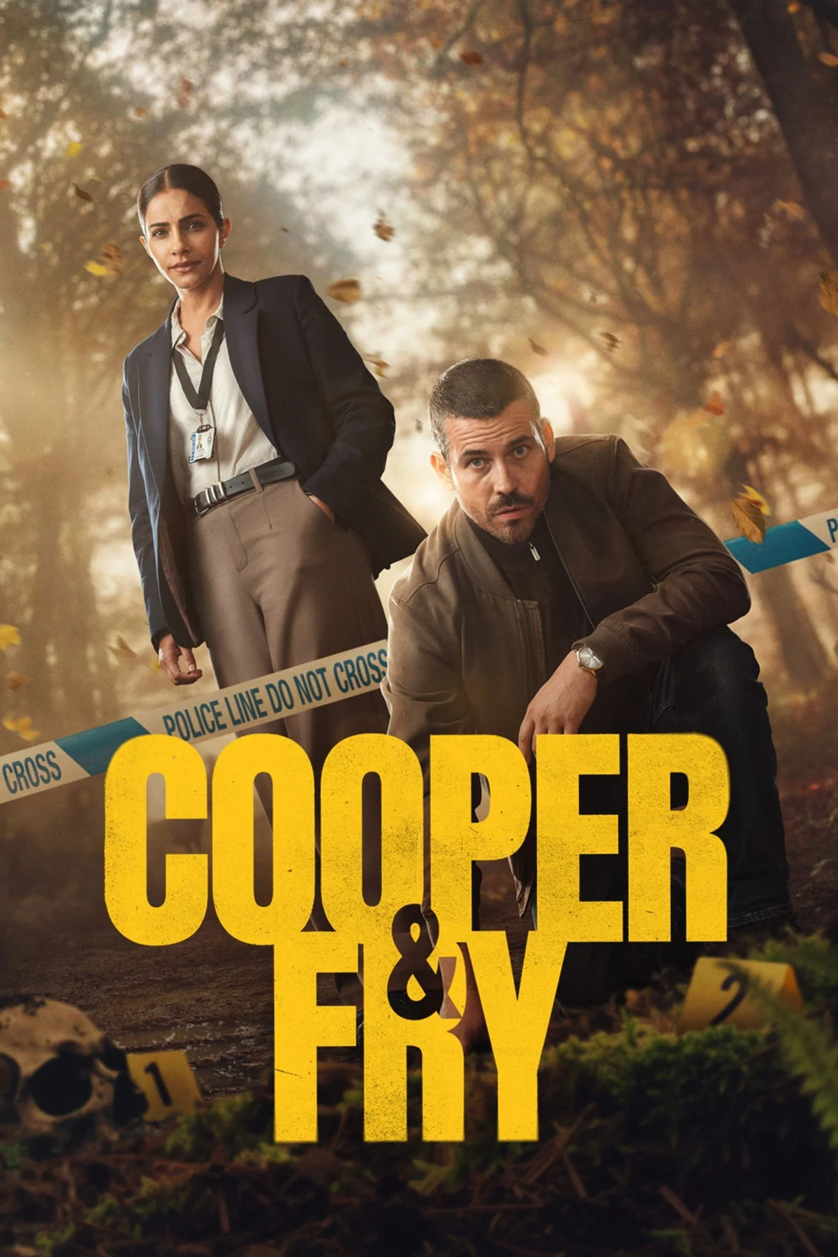 Постер сериалаКупер и Фрай