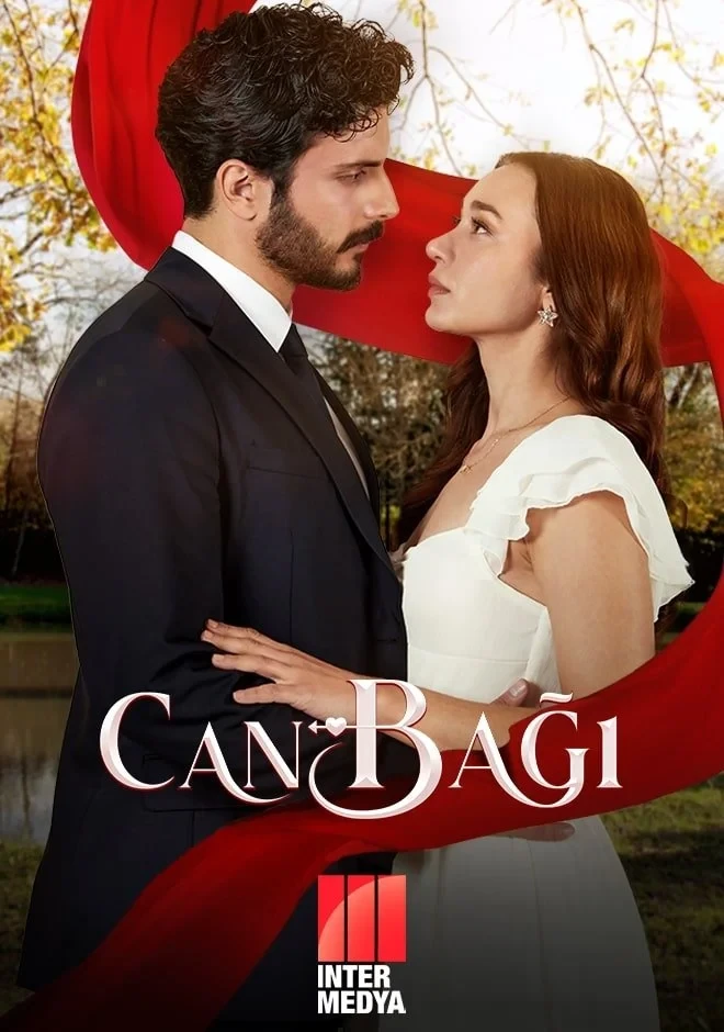 Постер сериалаСердечные струны