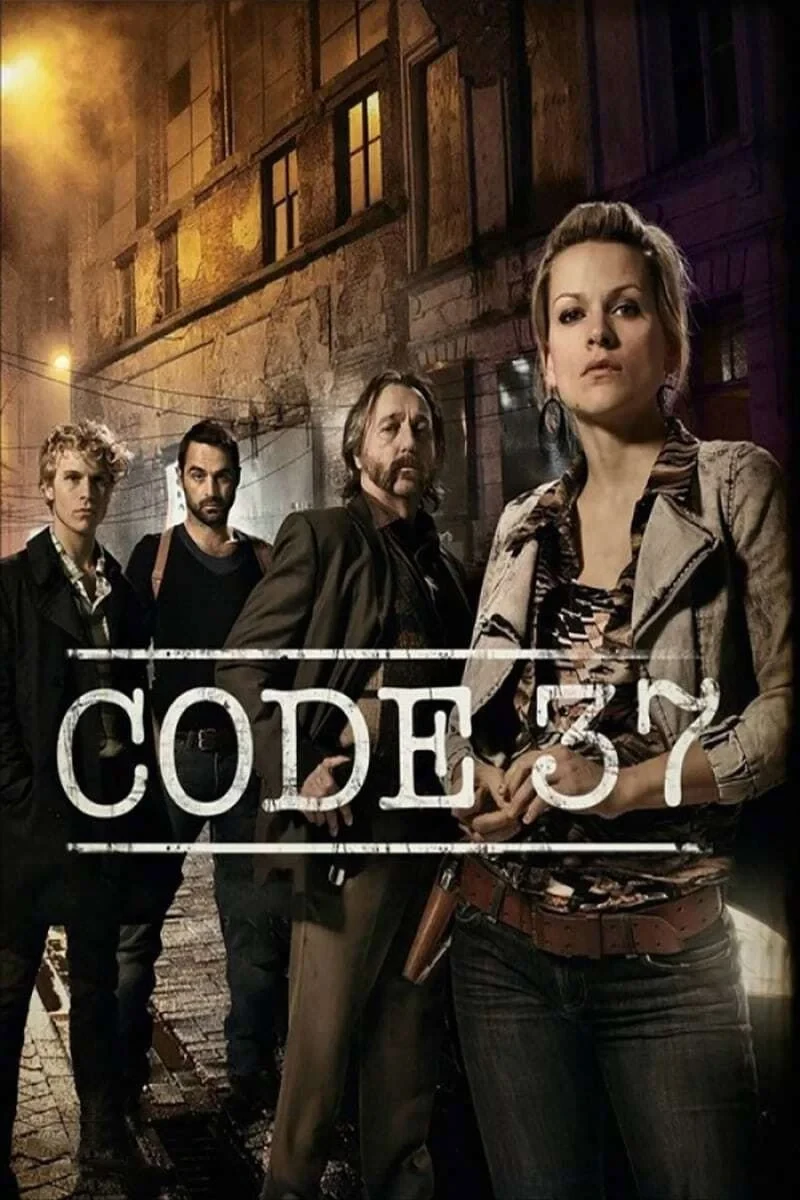 Постер сериалаКод 37: Отдел секс-преступлений