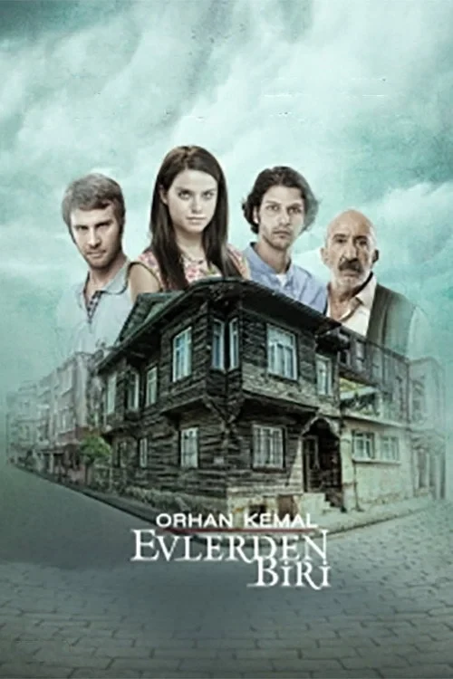 Постер сериалаОдин из домов