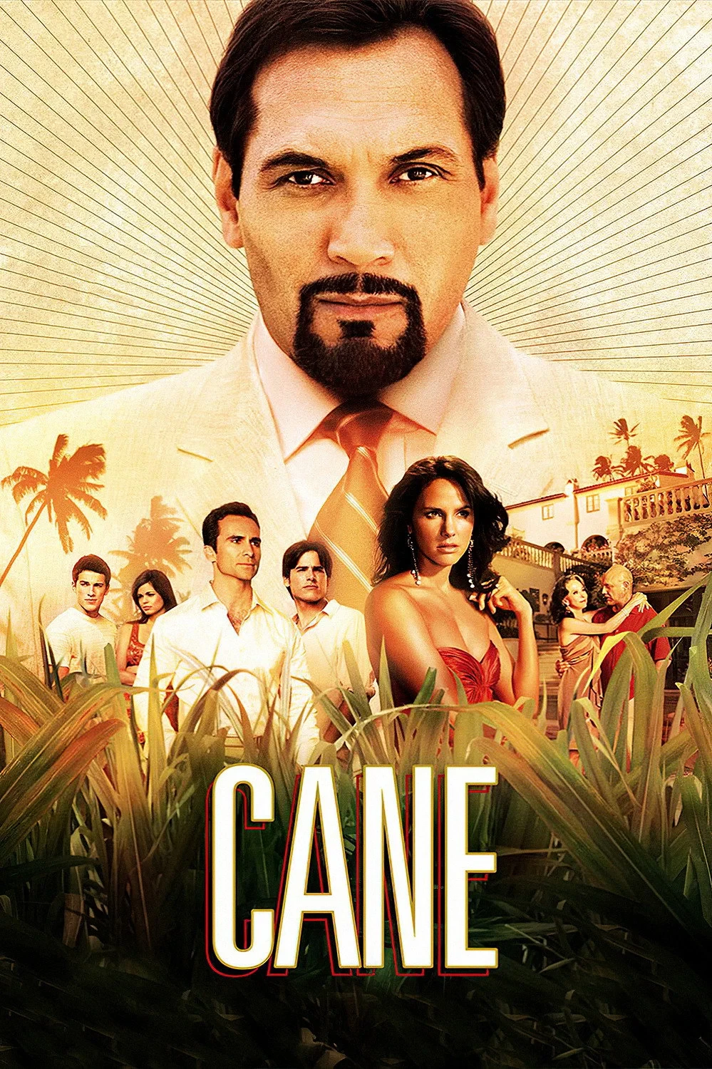 Постер сериалаПлантация