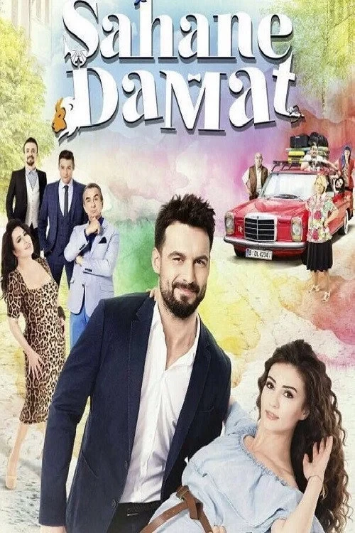 Постер сериалаЗамечательный зять