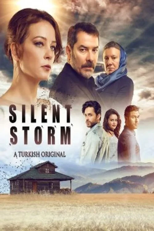 Постер сериалаШторм ласточки