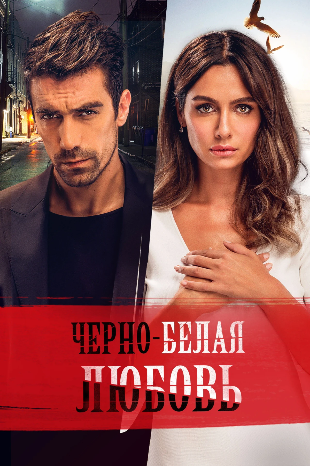Постер сериалаЧёрно-белая любовь