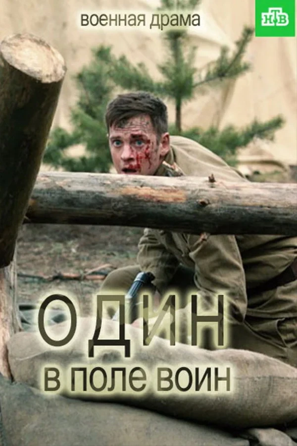 Постер сериалаОдин в поле воин
