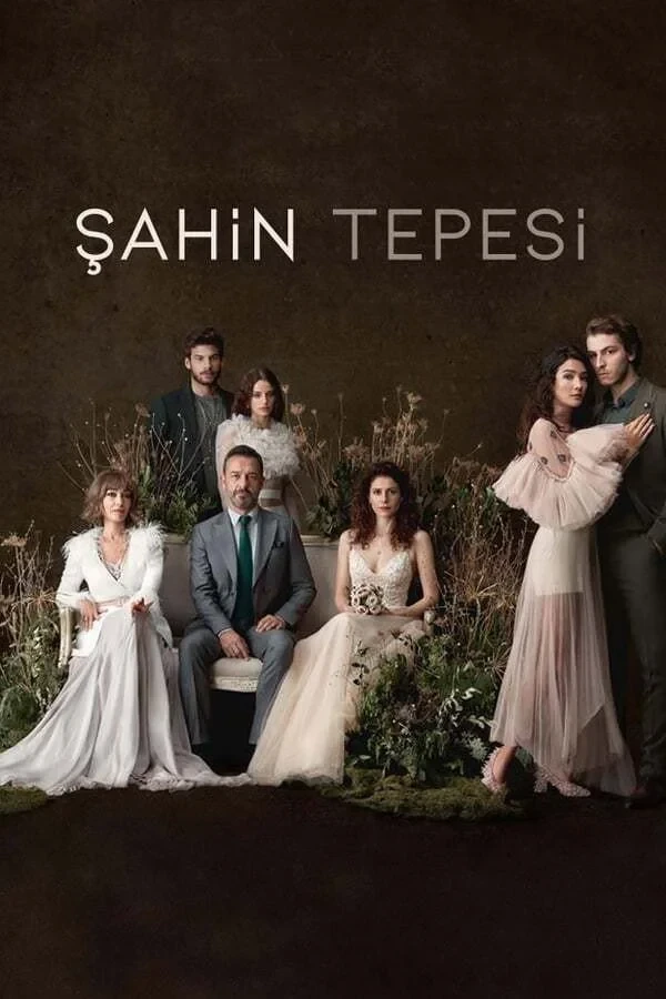 Постер сериалаСоколиный холм