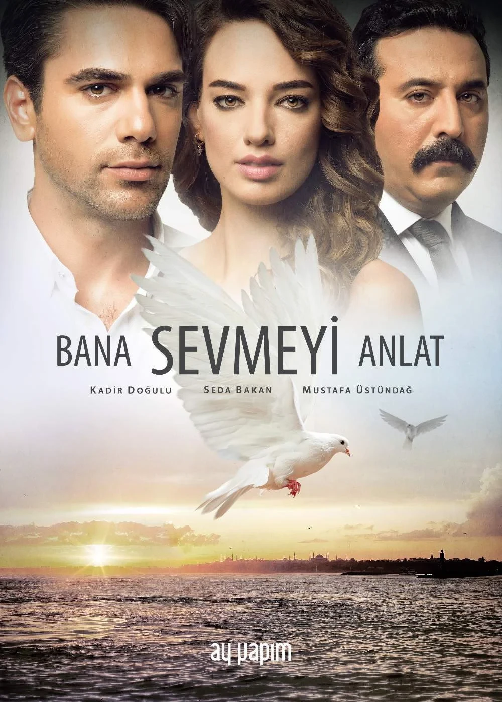 Постер сериалаРасскажи мне, как любить