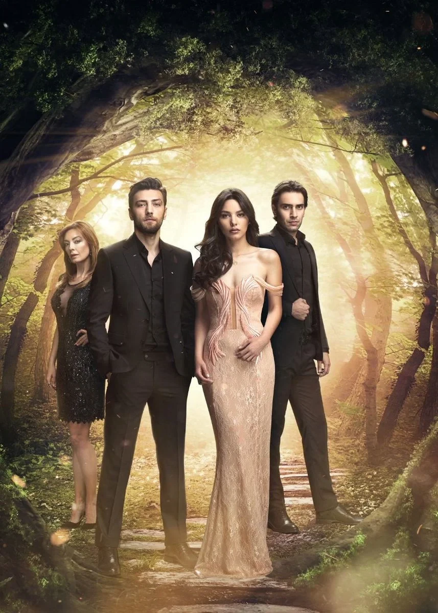 Постер сериалаСон