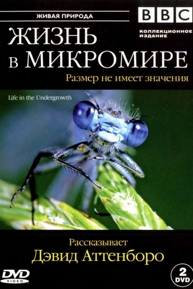 Постер сериалаЖизнь в микромире